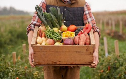 پیشنهاد شگفت انگیز